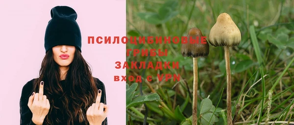 прущие крисы Балахна