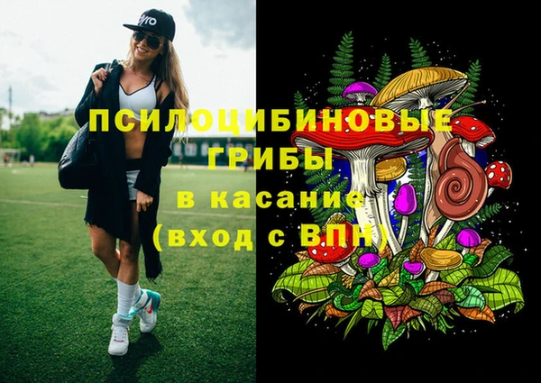 прущие крисы Балахна