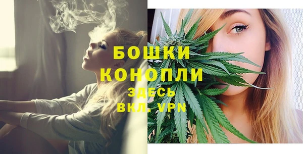 прущие крисы Балахна