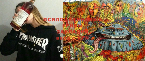 прущие крисы Балахна