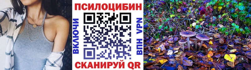 hydra   Бодайбо  Галлюциногенные грибы Psilocybine cubensis 