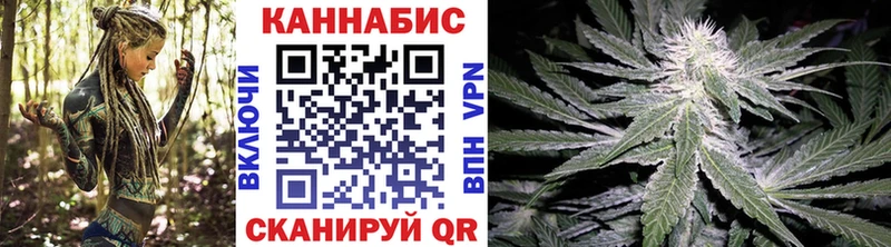 Конопля семена  Бодайбо 